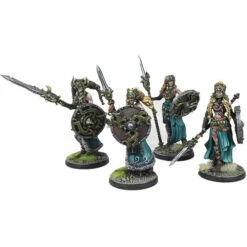 Conquest: Nords - Valkyries -Table Game Shop PBW4412 3