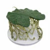 Wild Beyond The Witchlight #46 Floating Lily Pad (R) -Table Game Shop ddwbw 46