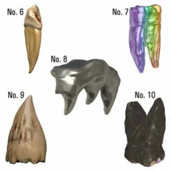 D&D Icons Of The Realms: Teeth Of Dahlver-Nar - Bite-sized Artifacts -Table Game Shop wzk96122 3